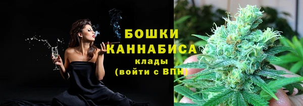 трава Ельня