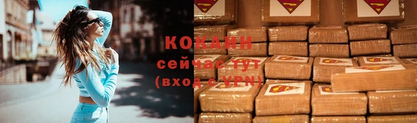 трава Ельня
