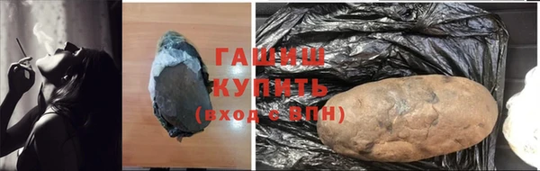 трава Ельня