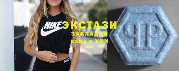 трава Ельня