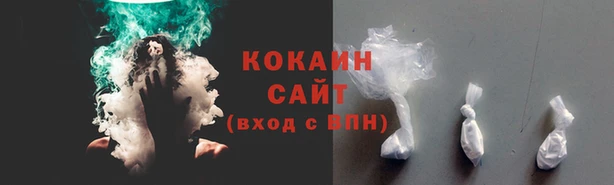 трава Ельня