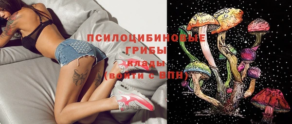 стафф Елизово