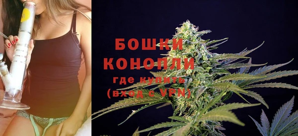 трава Ельня