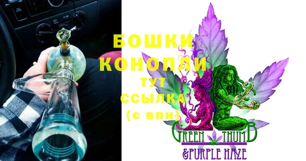 трава Ельня