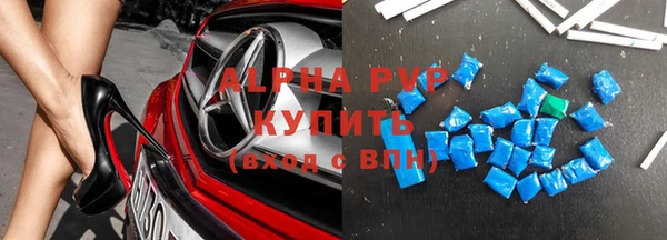трава Ельня