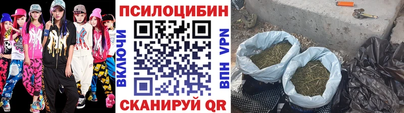 Купить где  Протвино  Псилоцибиновые грибы Cubensis 